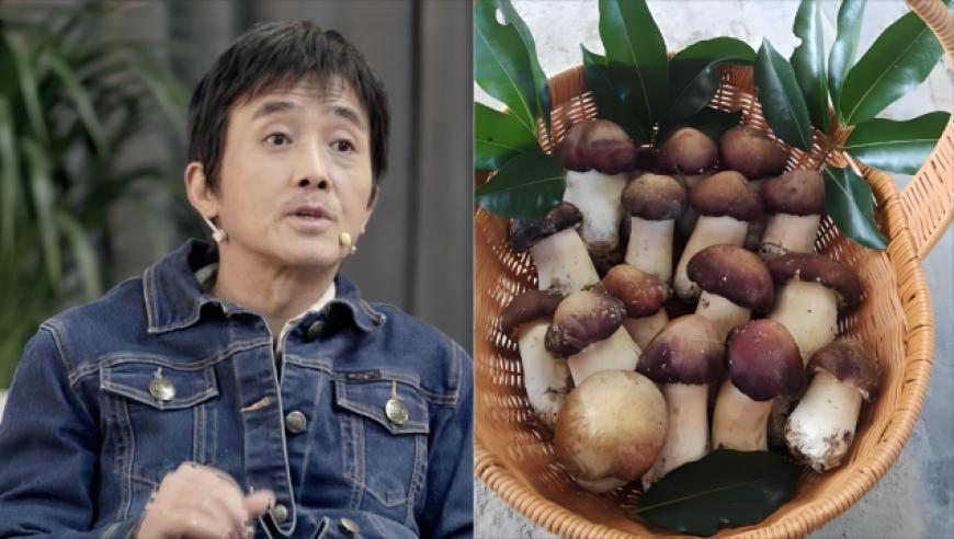 7777788888管家婆凤凰网,女子路遇牛儿堵路 礼貌打招呼通过,国产化作答解释落实_试用版V14.89